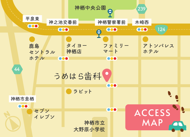 ACCESS MAP